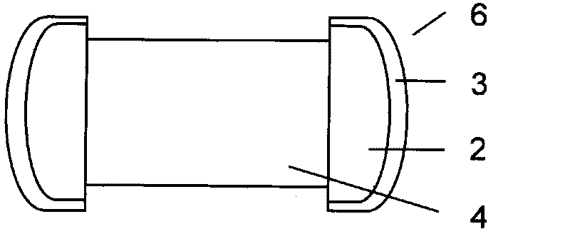 Chip ferrite product electro-plating pre-treatment method