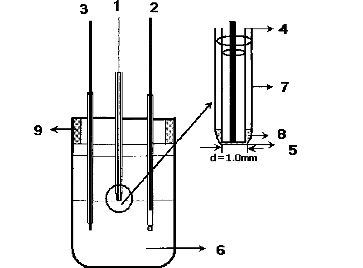 Method for detecting oxidative metal ion in water