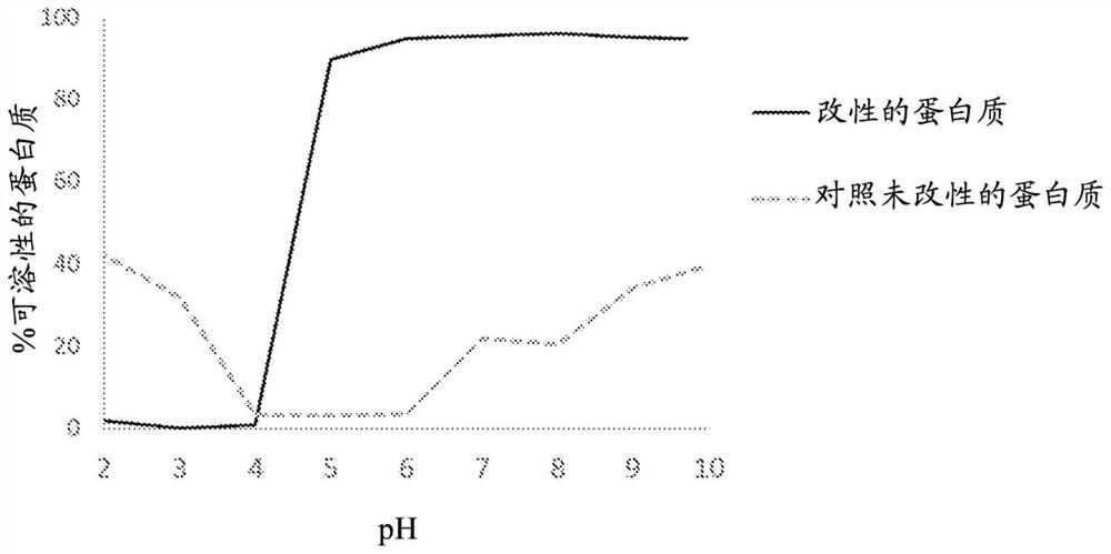 Non-dairy analogs with succinylated plant proteins and methods using such products