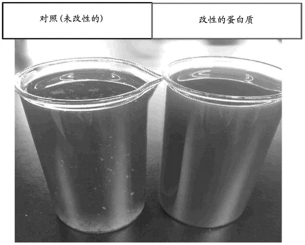 Non-dairy analogs with succinylated plant proteins and methods using such products