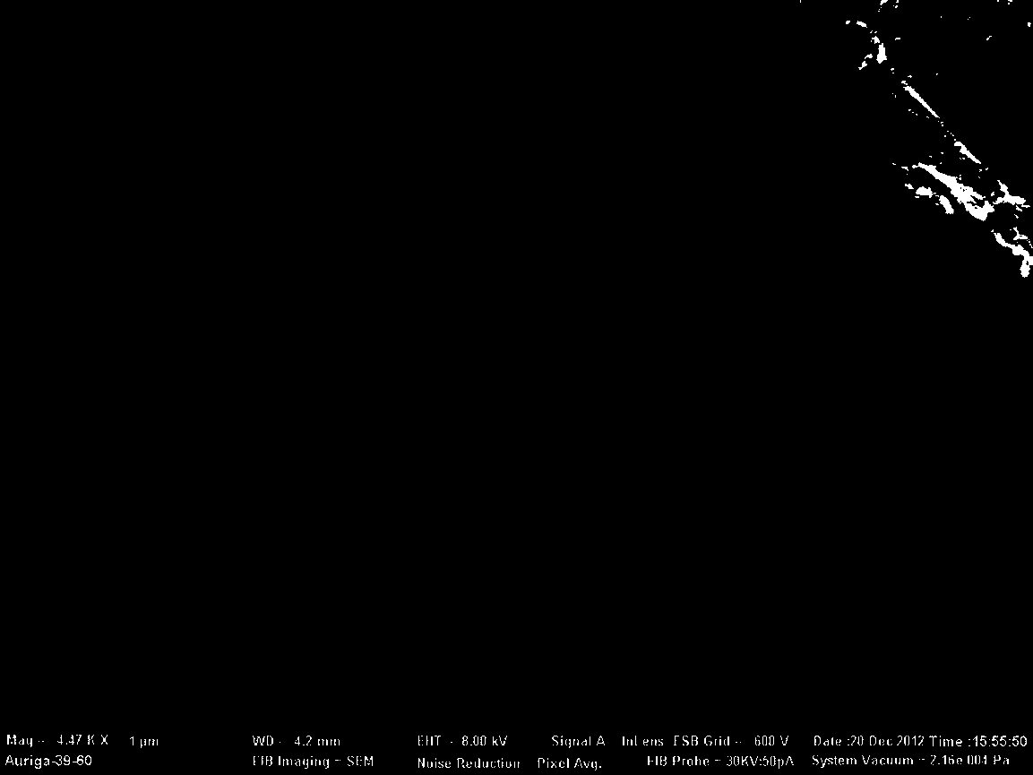 Antiseptic super-hydrophobic paint for electric power system fittings and preparation method