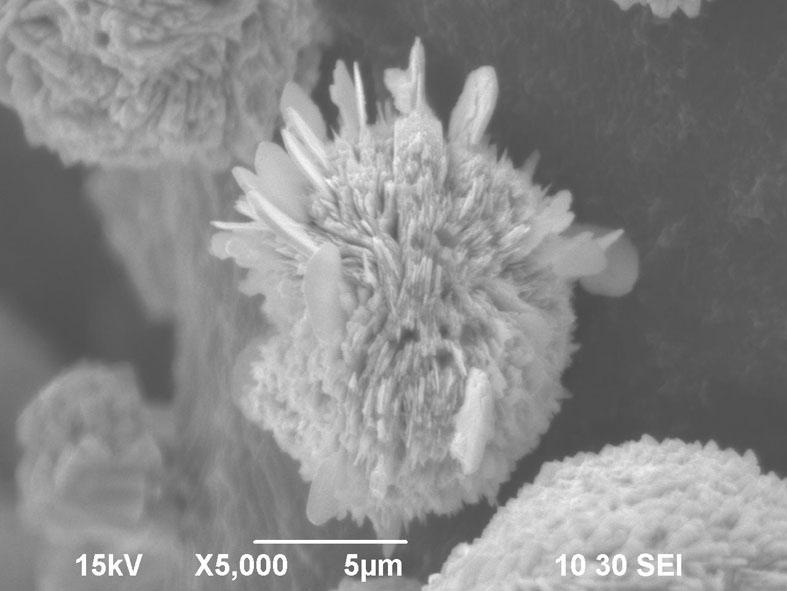 Method for preparing porous spherical stannous oxide nano material