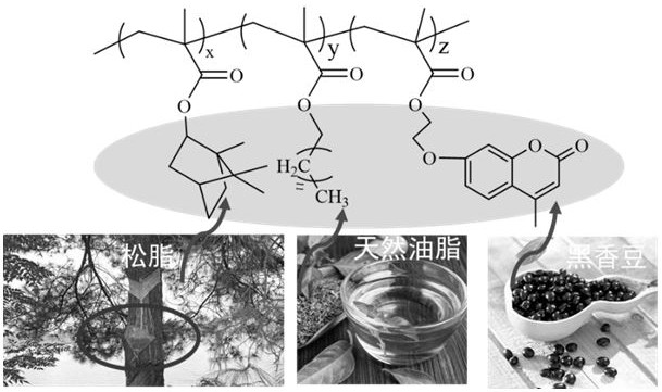 A kind of preparation method of bio-based acrylate anti-warping adhesive tape