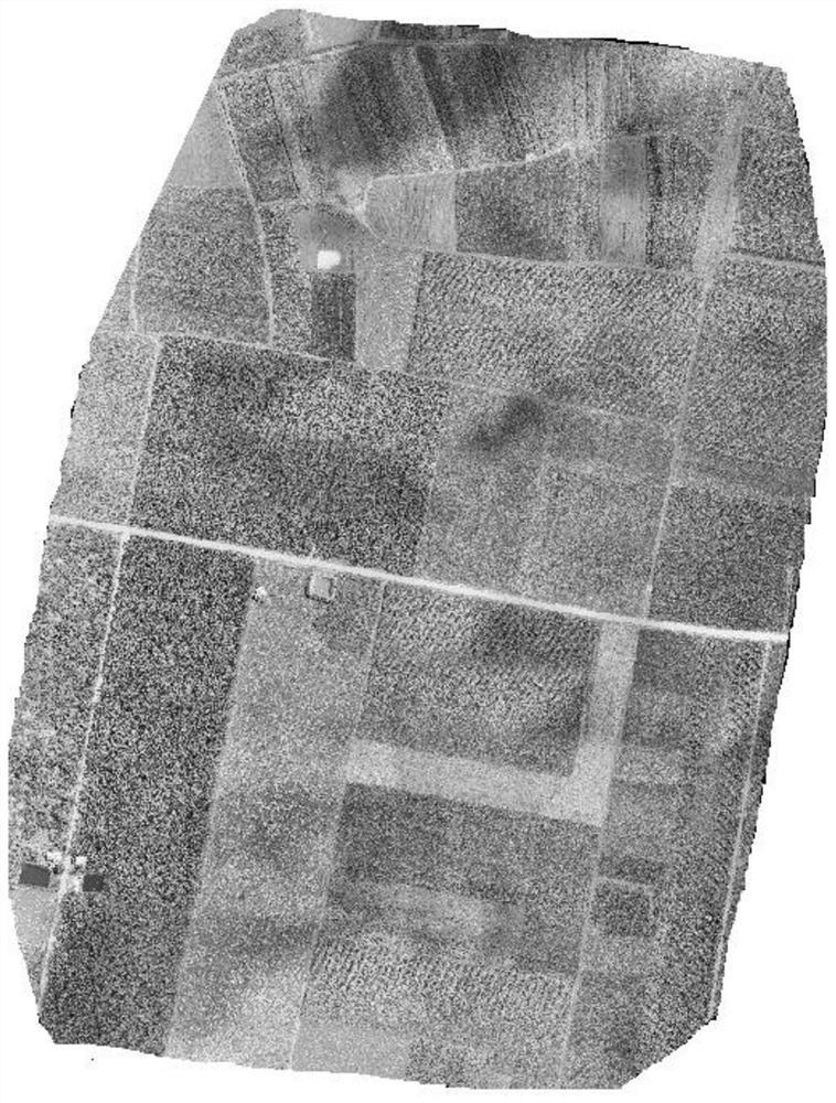 High-precision farmland vegetation information extraction method