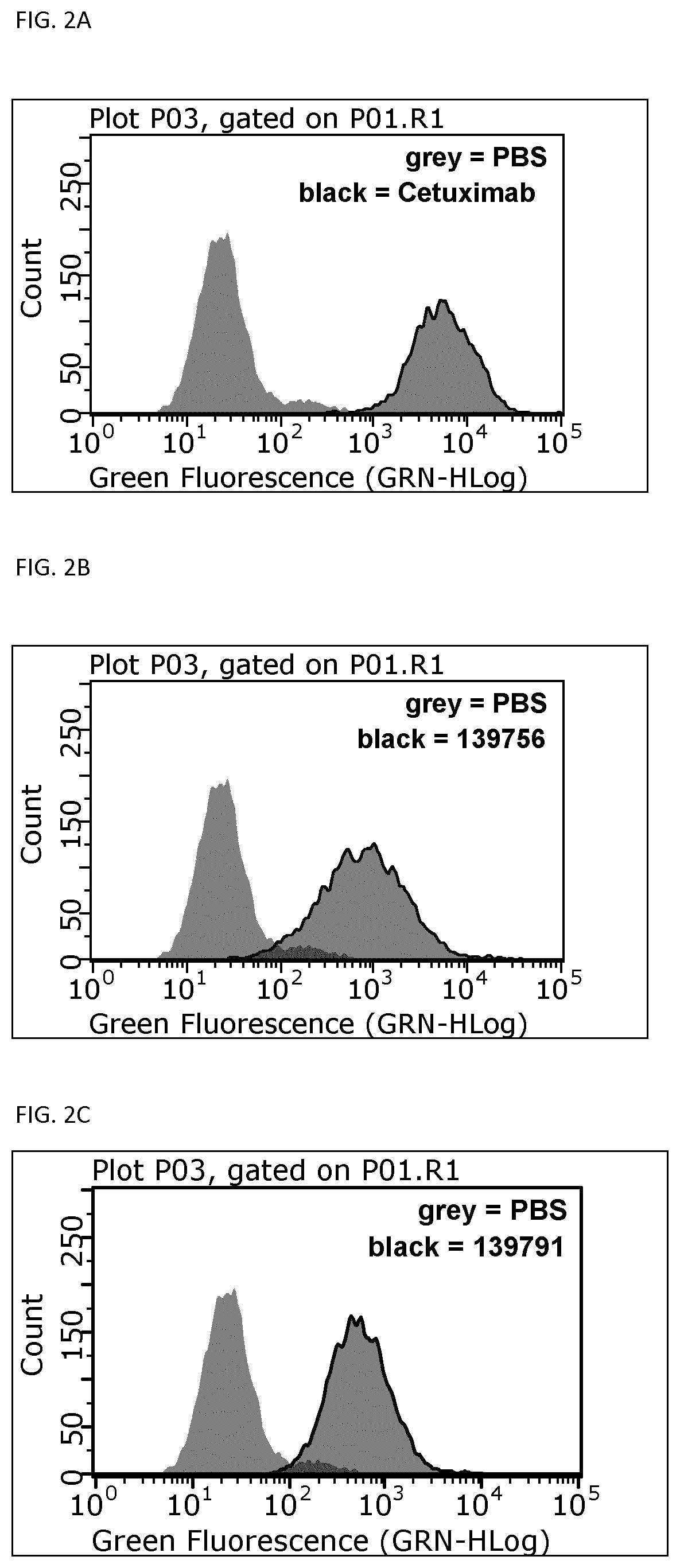 EGFR binding proteins