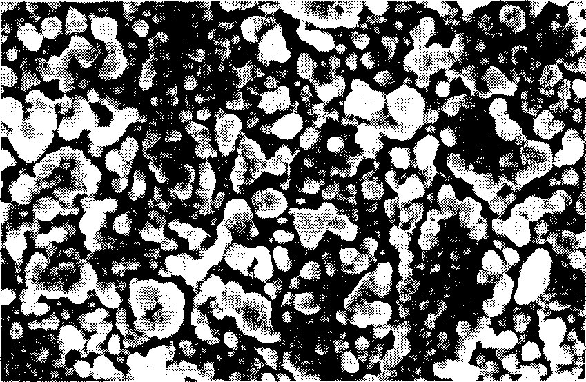 Micro-fluid control chip with surface enhanced Raman spectral active substrate and producing method thereof