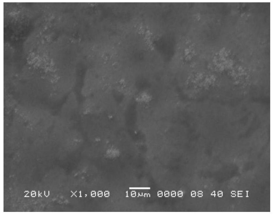 A kind of fuel cell bipolar plate and preparation method thereof