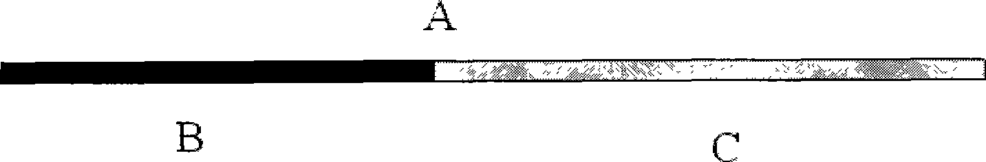 Two-phase integral column as well as preparation and application thereof