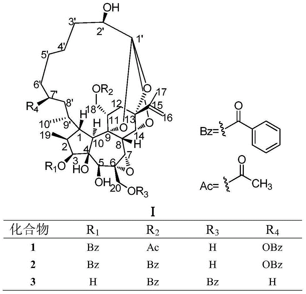 1-alkylated daphnane diterpene and application thereof to preparation of anti-HIV drugs