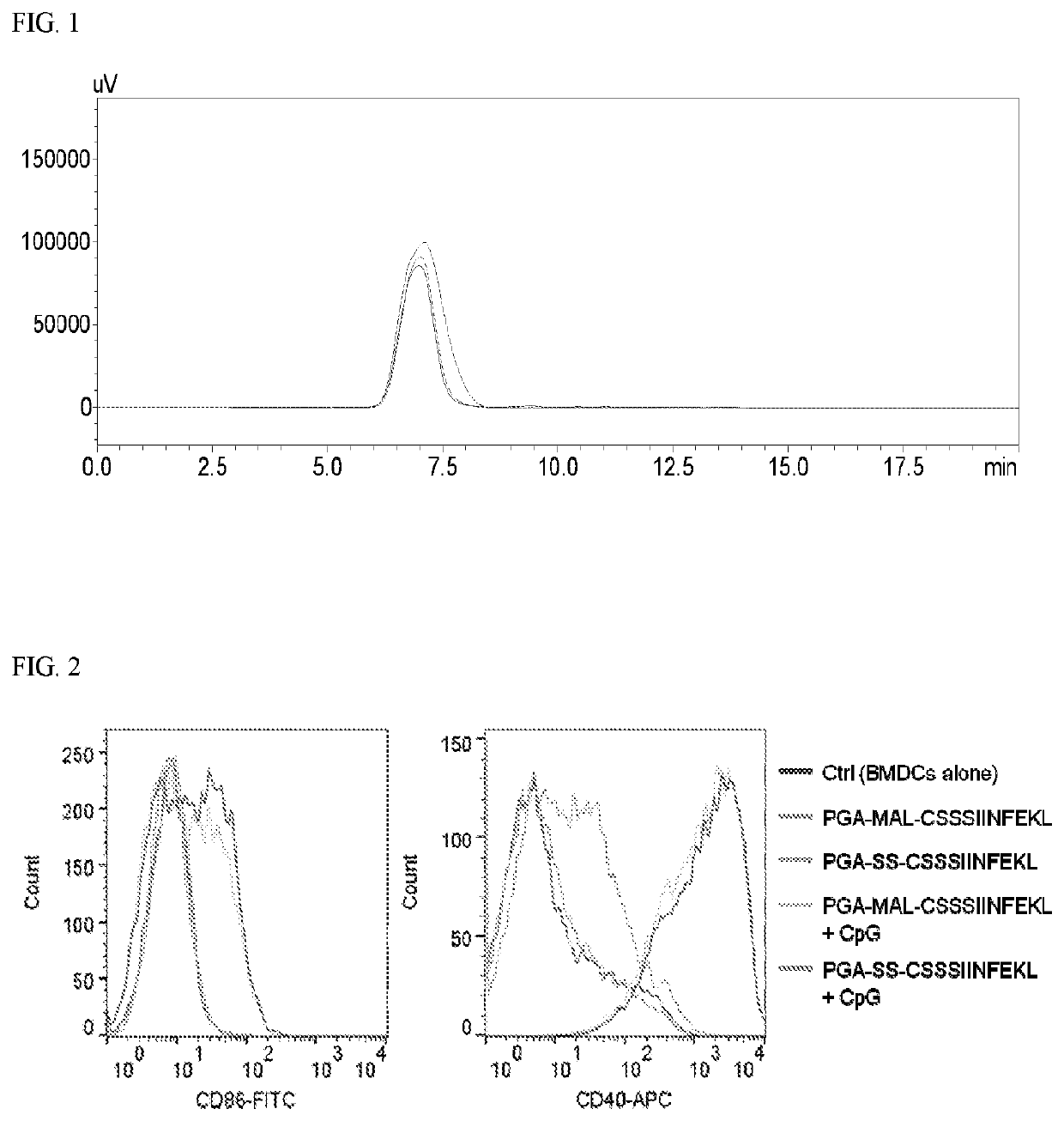 Compositions and methods for delivery of polymer/biomacromolecule conjugates