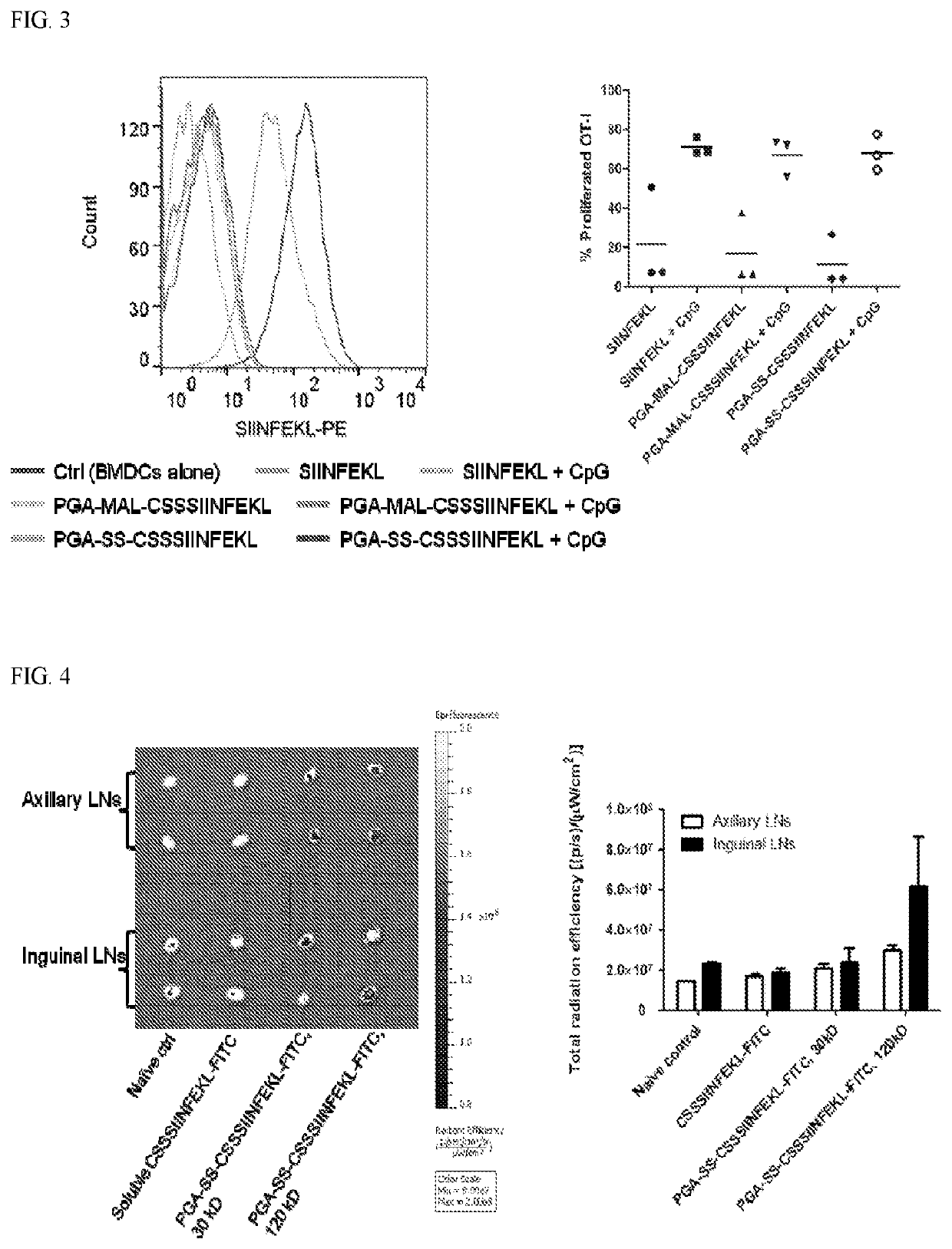 Compositions and methods for delivery of polymer/biomacromolecule conjugates