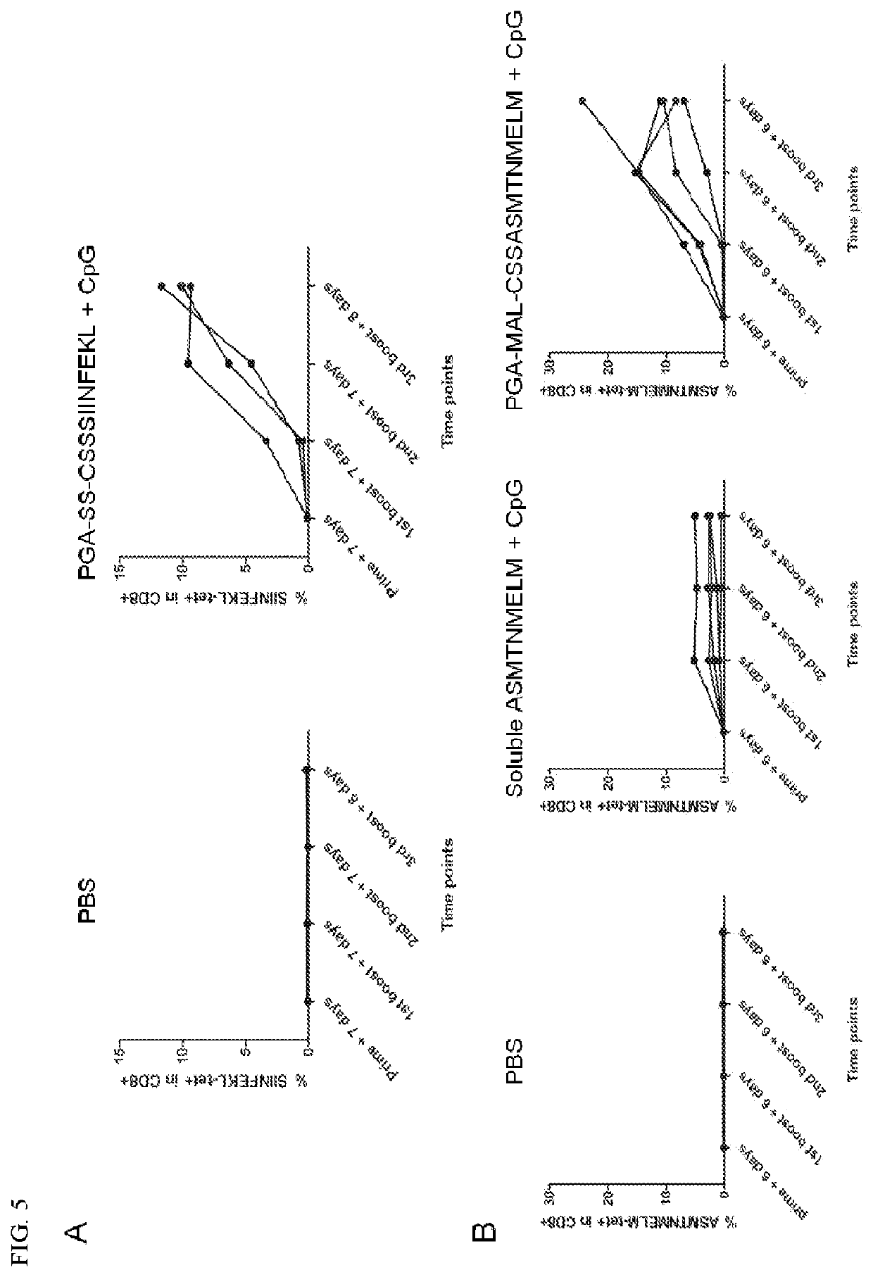 Compositions and methods for delivery of polymer/biomacromolecule conjugates