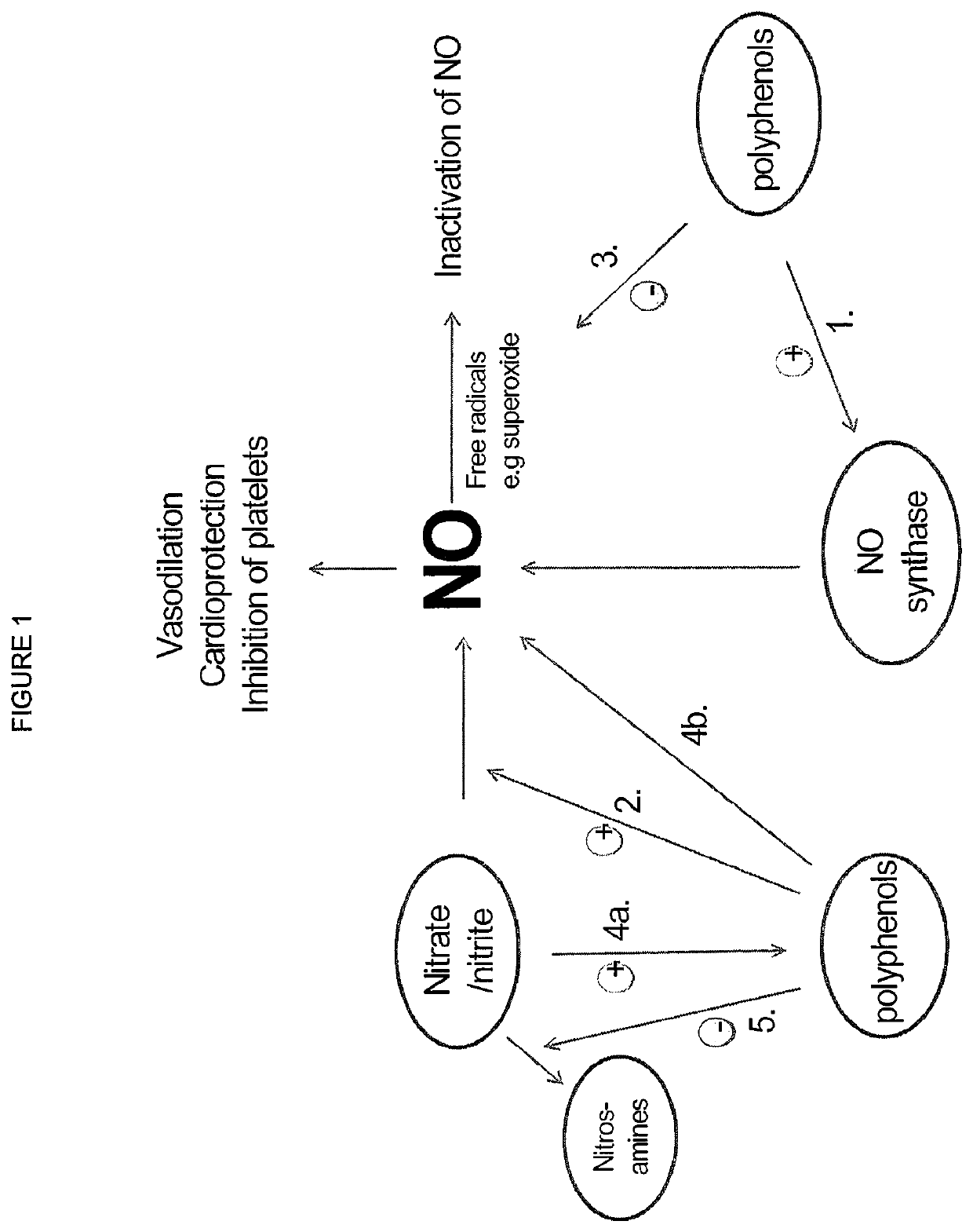 Compositions of nitrates and methods of use thereof