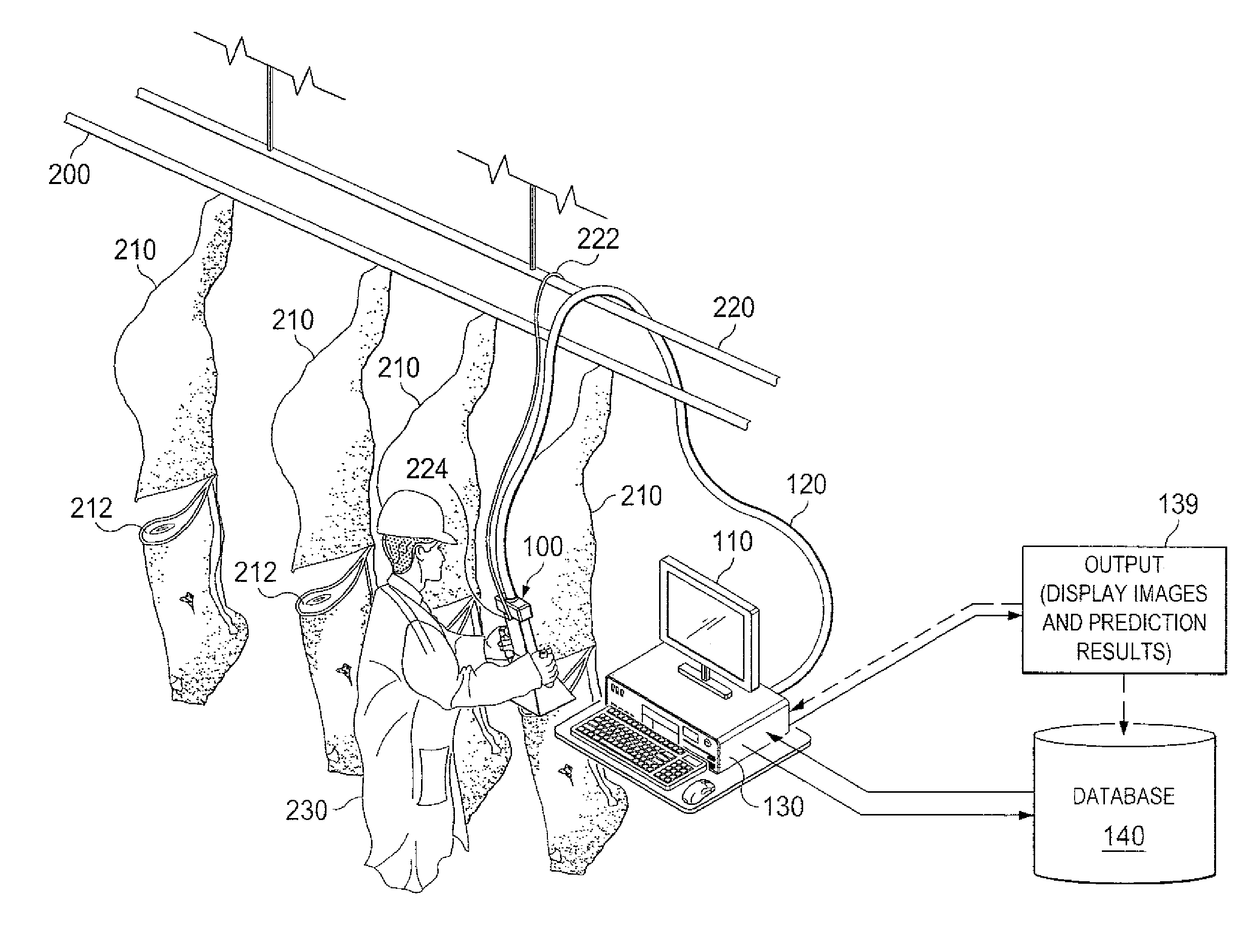 System and method for analyzing properties of meat using multispectral imaging