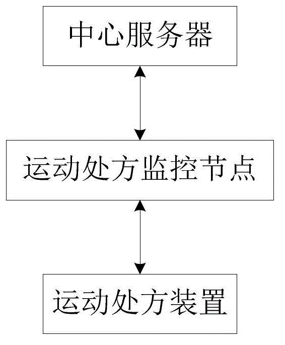 Method and system for realizing remote execution exercise prescription and monitoring