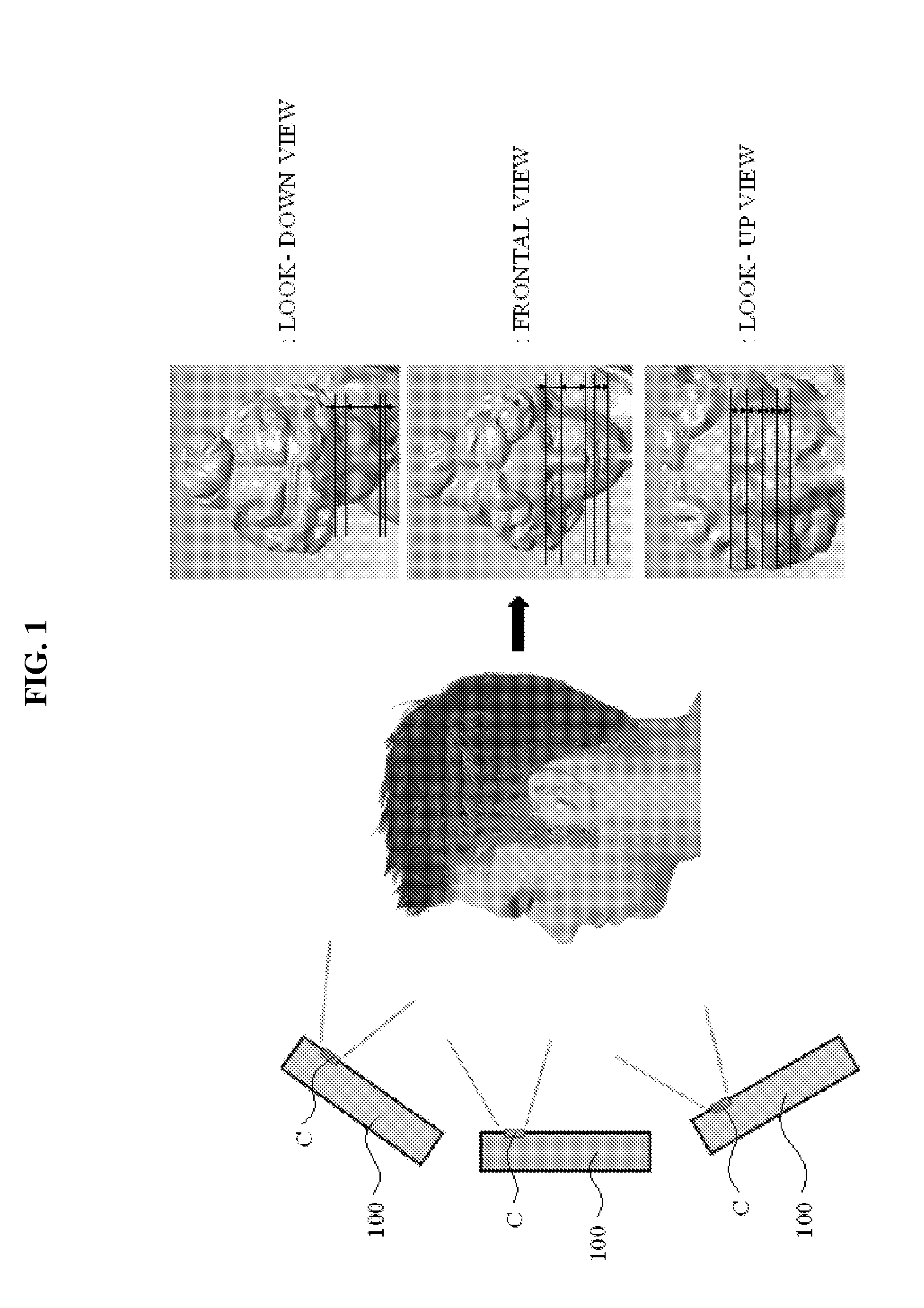 Apparatus and method for displaying three-dimensional (3D) object