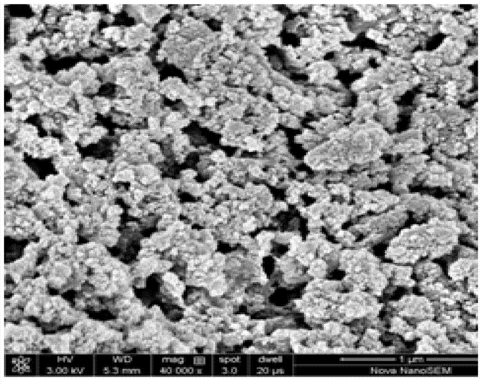 Preparation method and application for aminoglycoside-antibiotic molecularly imprinted polymers