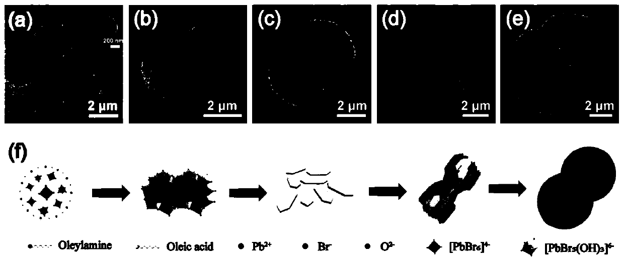 Method for preparing lead halide perovskite