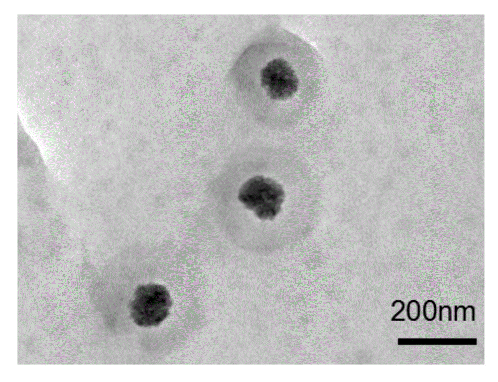 Rapid preparation method and application of core-shell spherical magnetic mesoporous silica nanocomposites