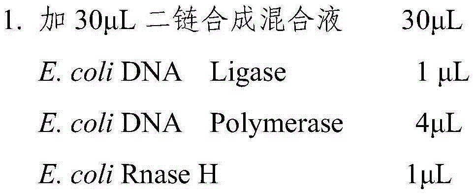 Construction method of whole-genome exon sequence capture probe