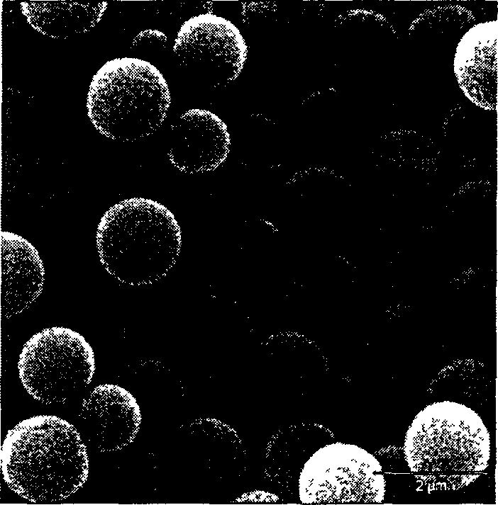 Process for preparing polystyrene/Fe3O4 composite magnetic micro ball