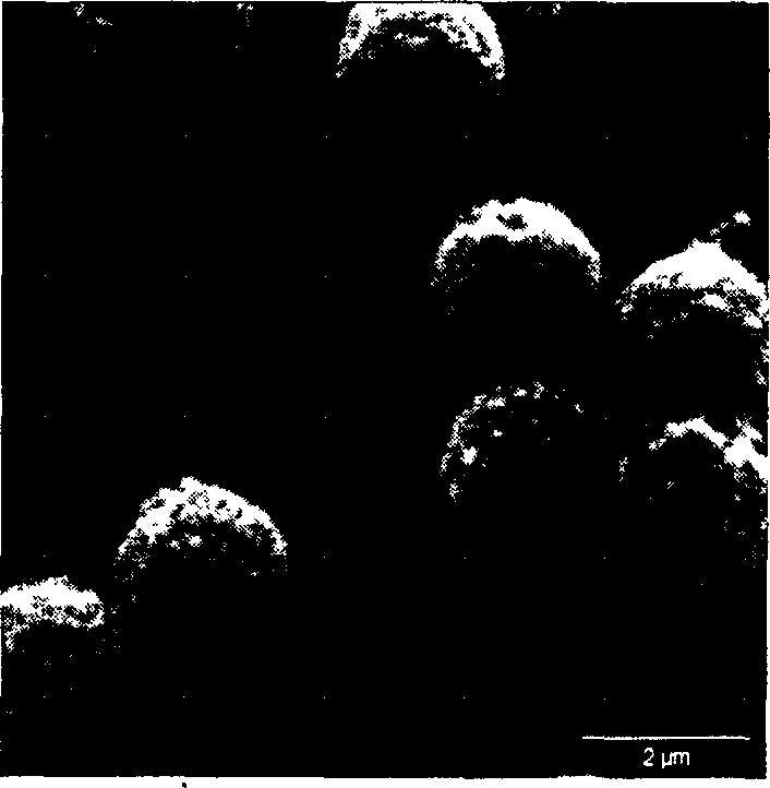 Process for preparing polystyrene/Fe3O4 composite magnetic micro ball