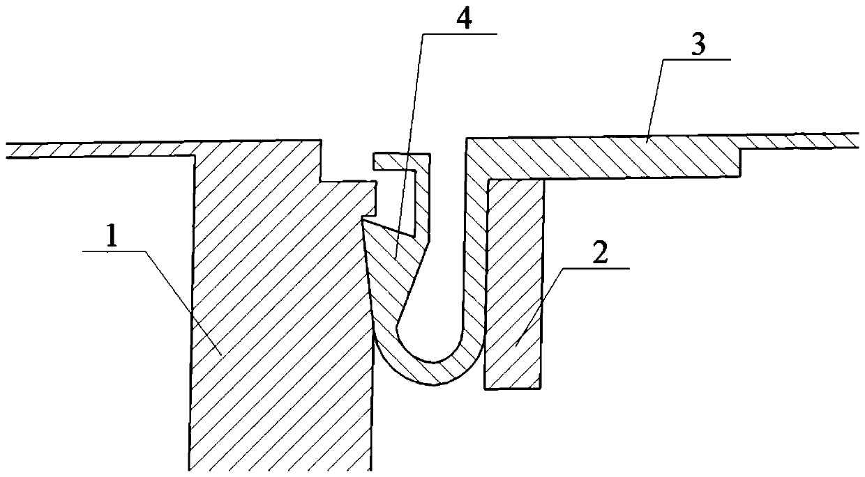 Buckle type model skin