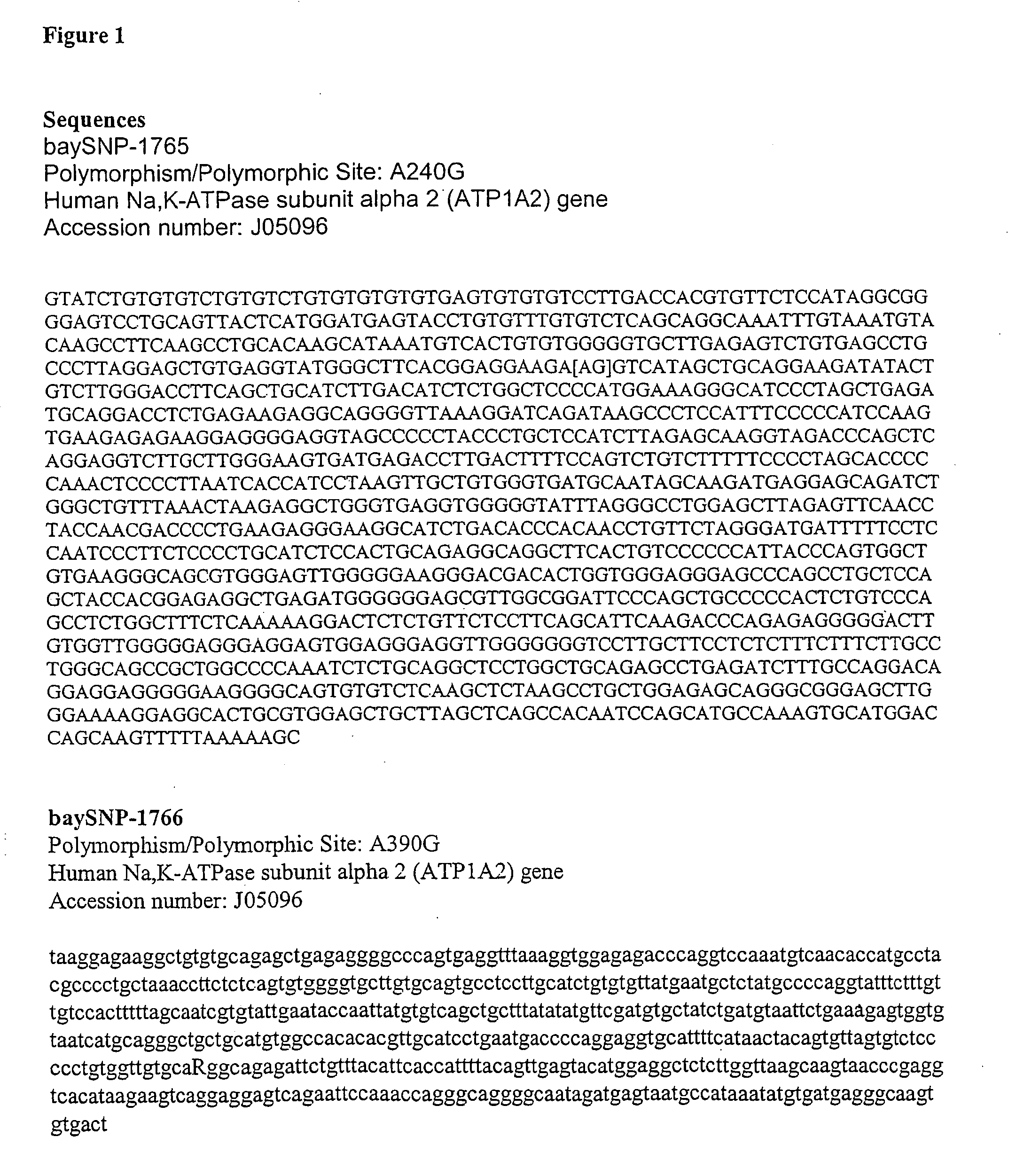 Single nucleotide polymorphisms predicting cardiovascular disease