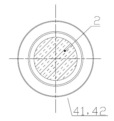 Processing technology of labeling-free blister product, and mold used for the same