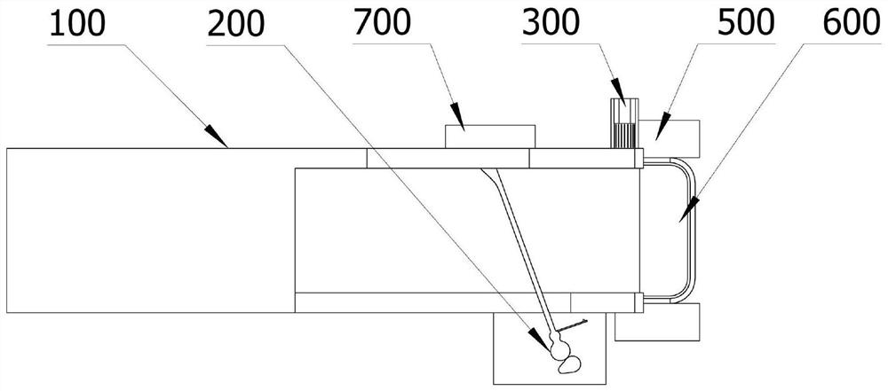 Food sorting device