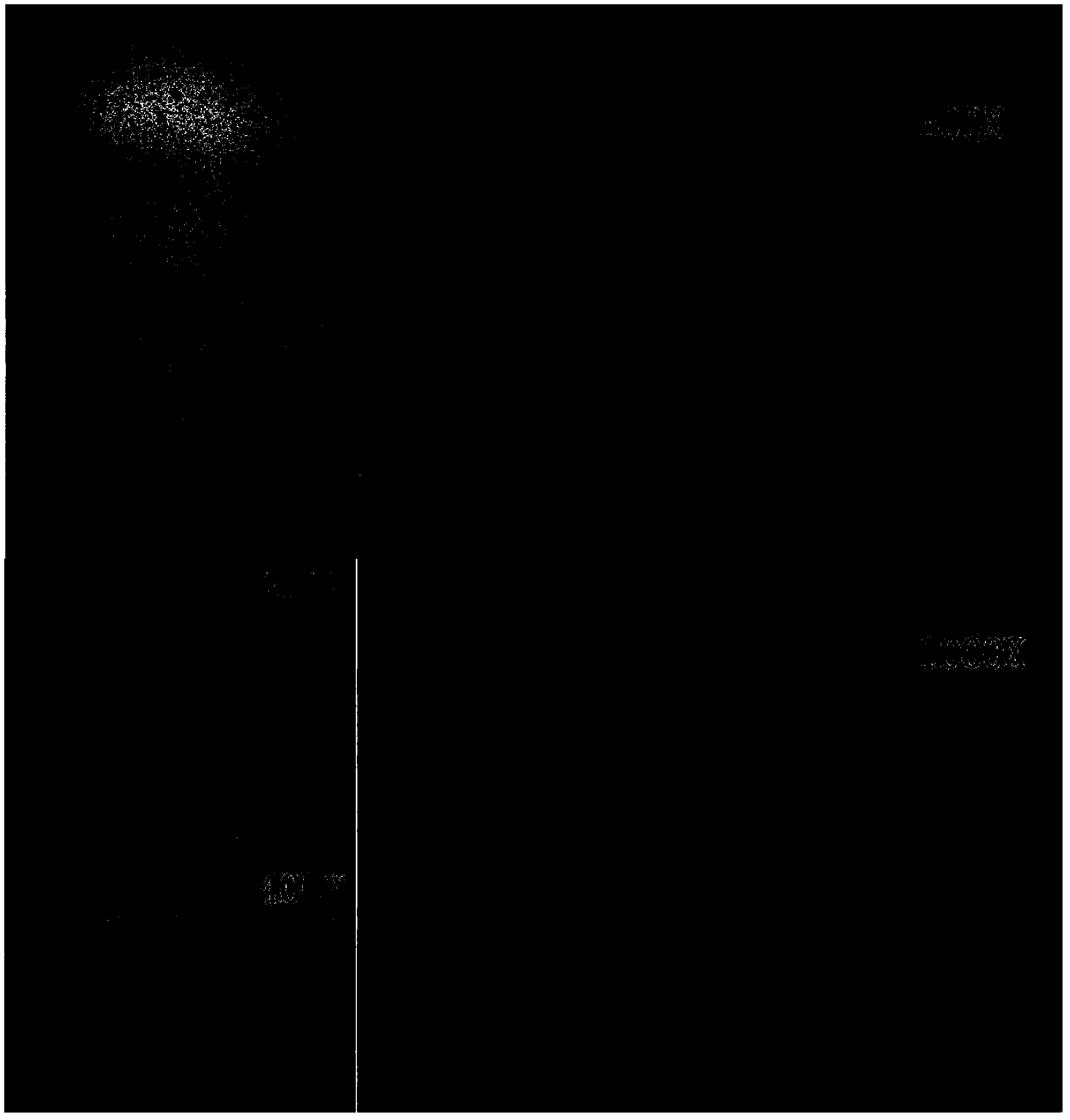 Culture medium for lymphocyte culture and application thereof