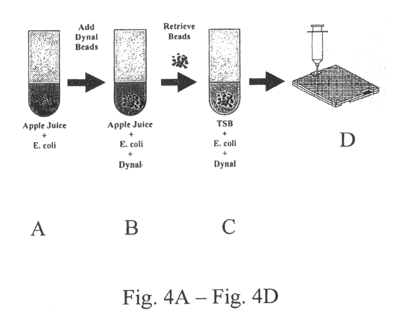 Method and composition for rapid viability testing of cells