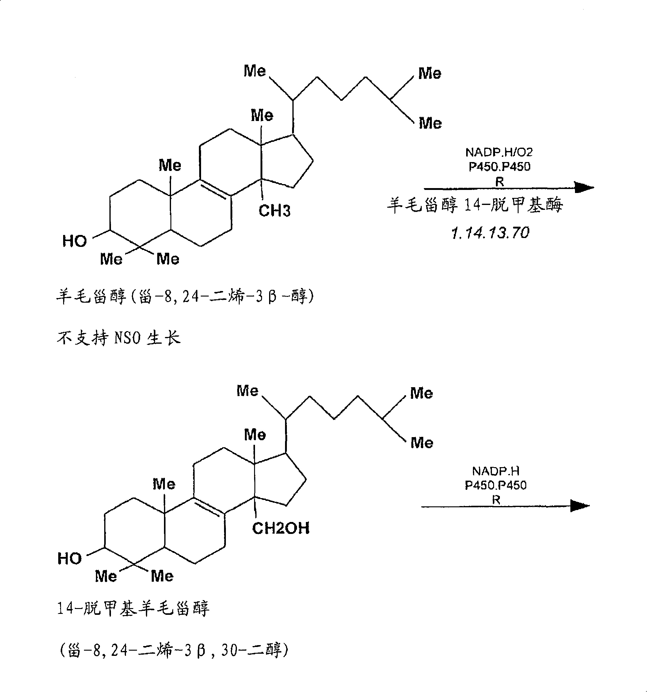 Compositions and methods for metabolic selection of transfected cells