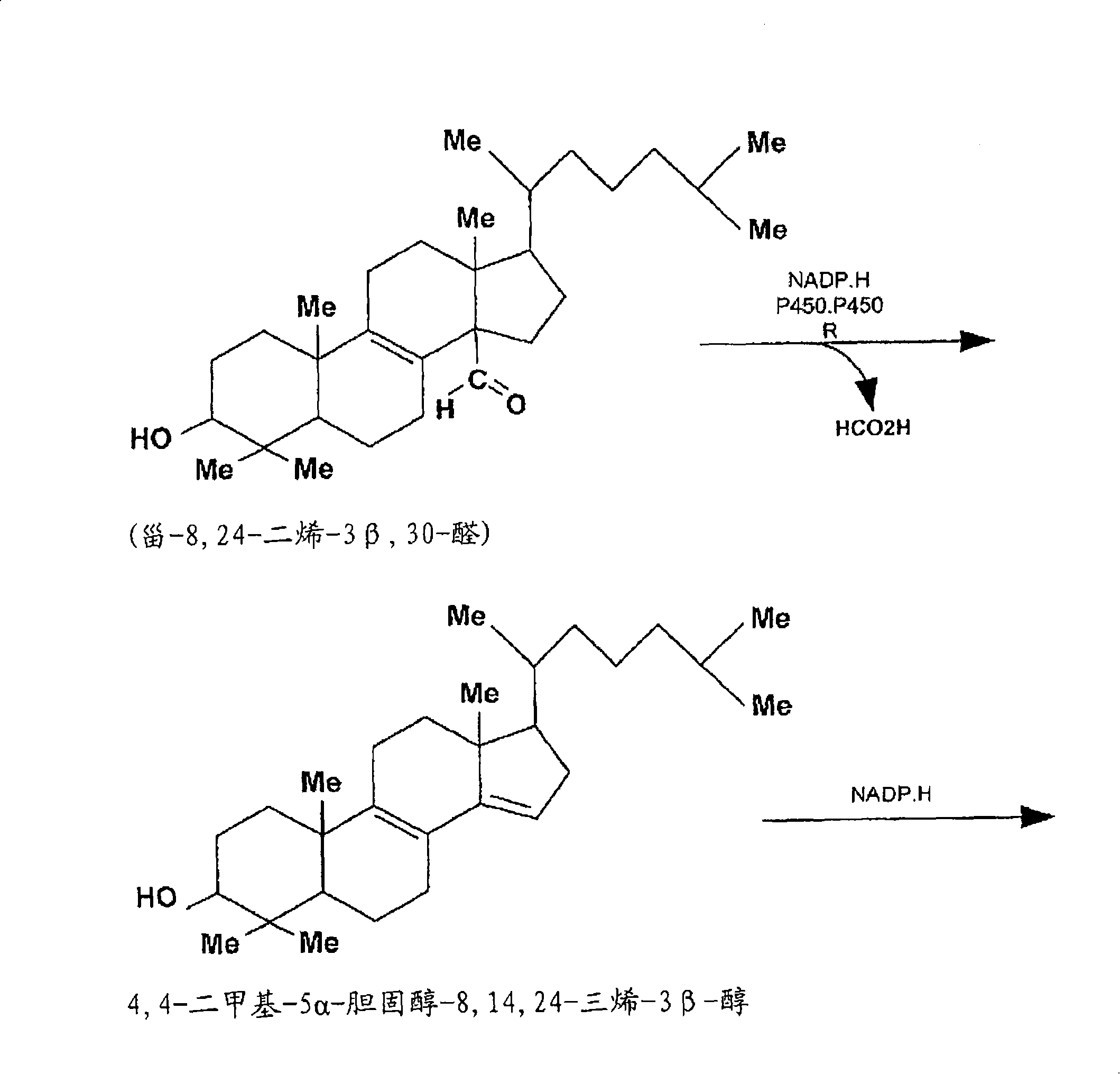 Compositions and methods for metabolic selection of transfected cells