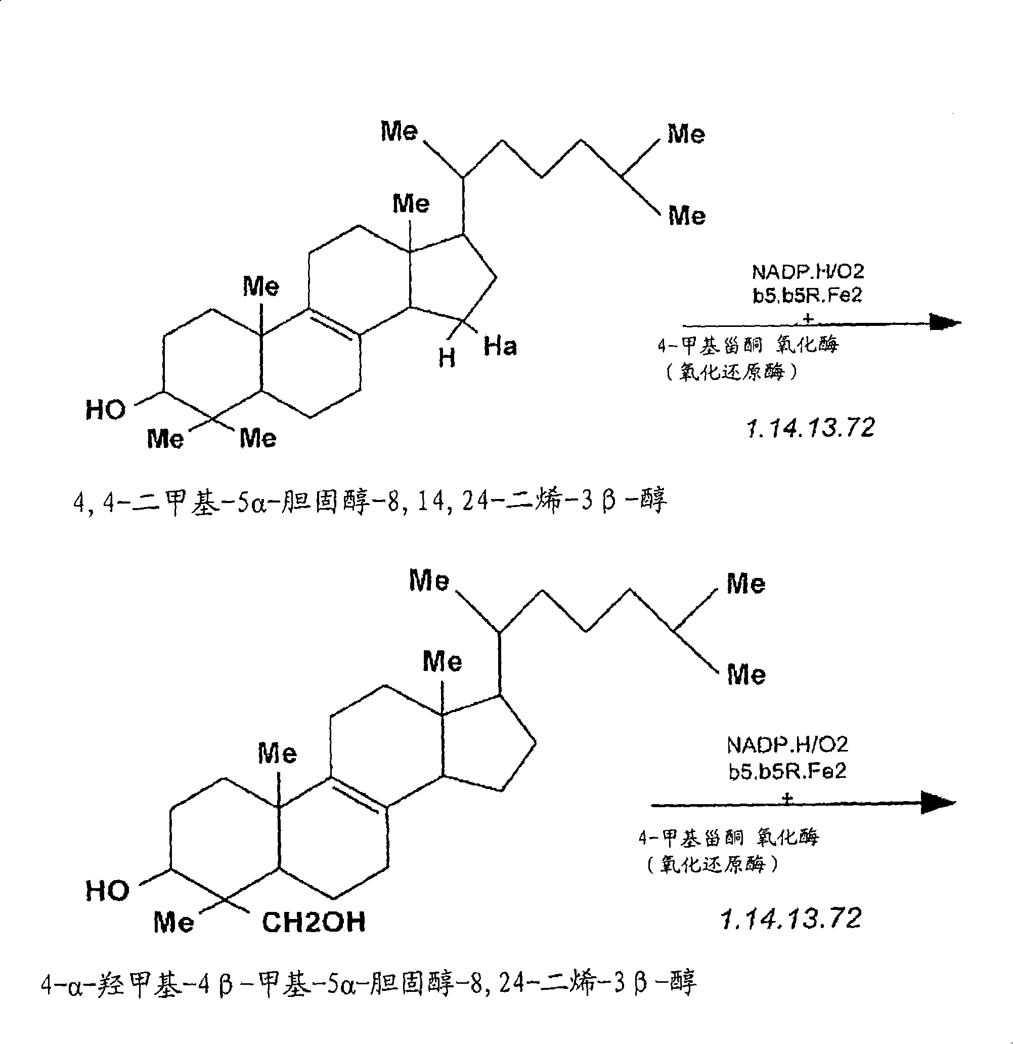 Compositions and methods for metabolic selection of transfected cells