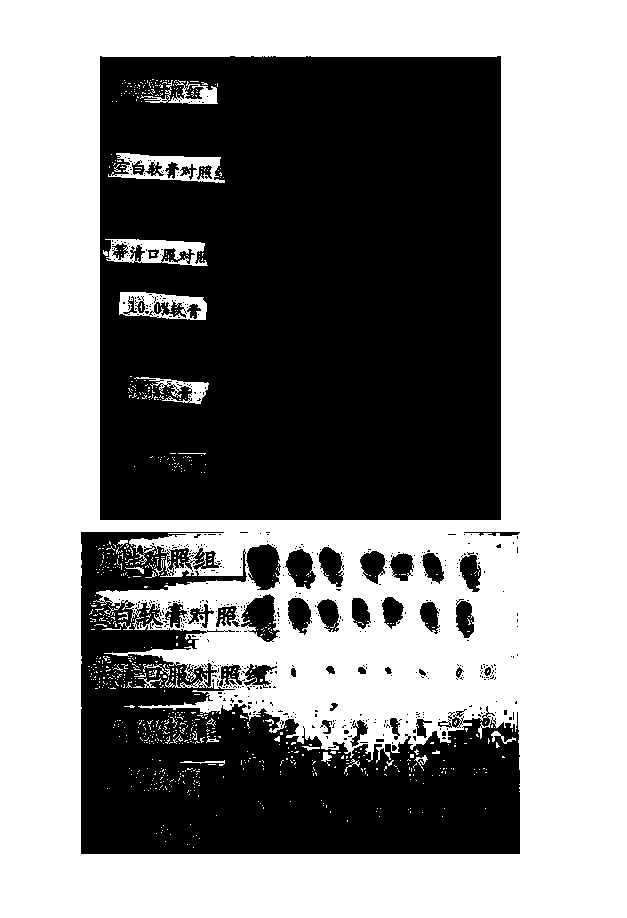 Suppository used for treating cancer