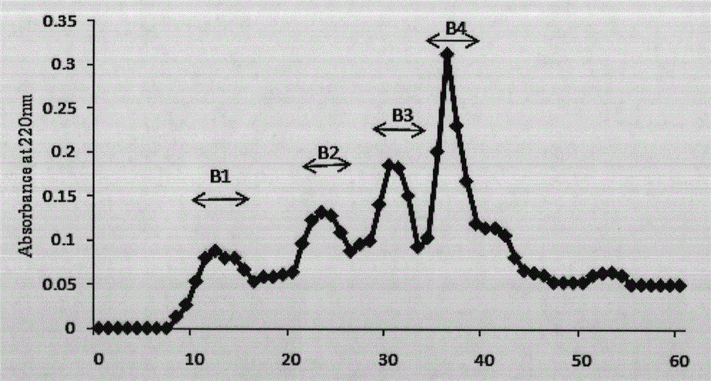 Method for preparing prunus armeniaca kernel antioxidative peptide through enzymolysis of prunus armeniaca kernels