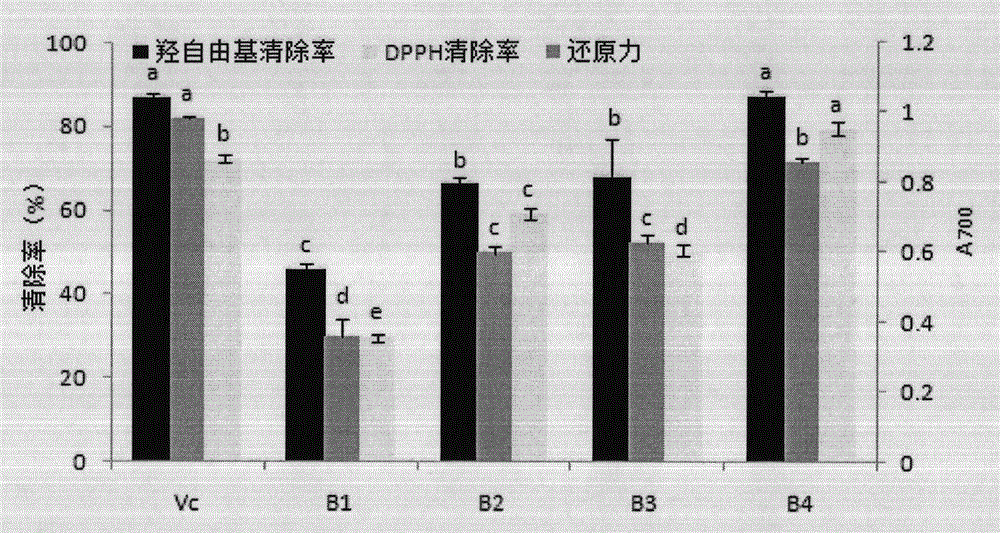 Method for preparing prunus armeniaca kernel antioxidative peptide through enzymolysis of prunus armeniaca kernels