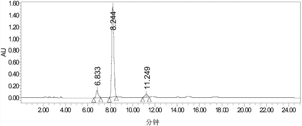 Traditional Chinese medicine drug for treating allergy and preparation method thereof