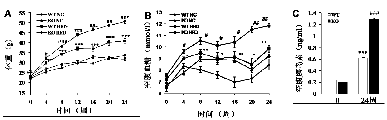 Functions and applications of centrifugal force and shearing stress response gene 1 in fatty liver and diabetes mellitus