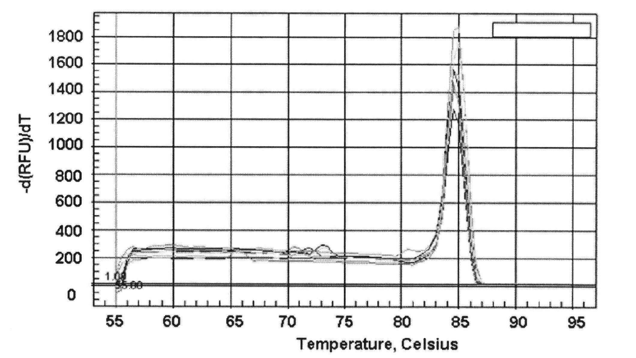 Haemophilus parasuis real-time fluorescent quantitative PCR (polymerase chain reaction) detection method