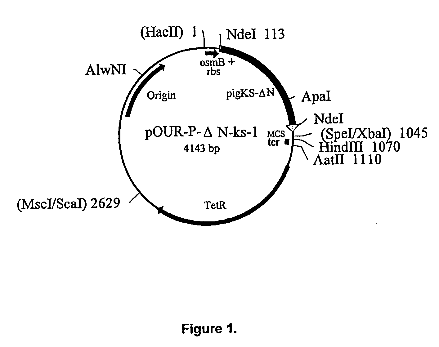 Variant Form of Urate Oxidase and Use Thereof