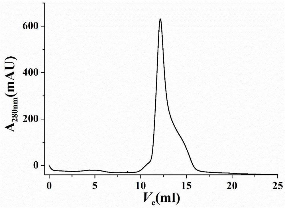 Rice cryptochrome site-directed mutagenesis protein and construction method thereof