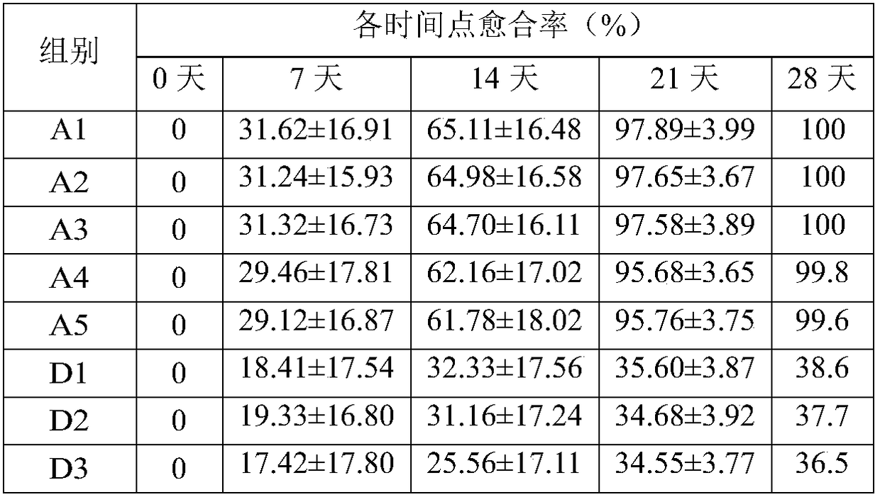 Chinese medicinal composition and pharmaceutical preparation for treating diabetic foot disease, and preparation method and application thereof