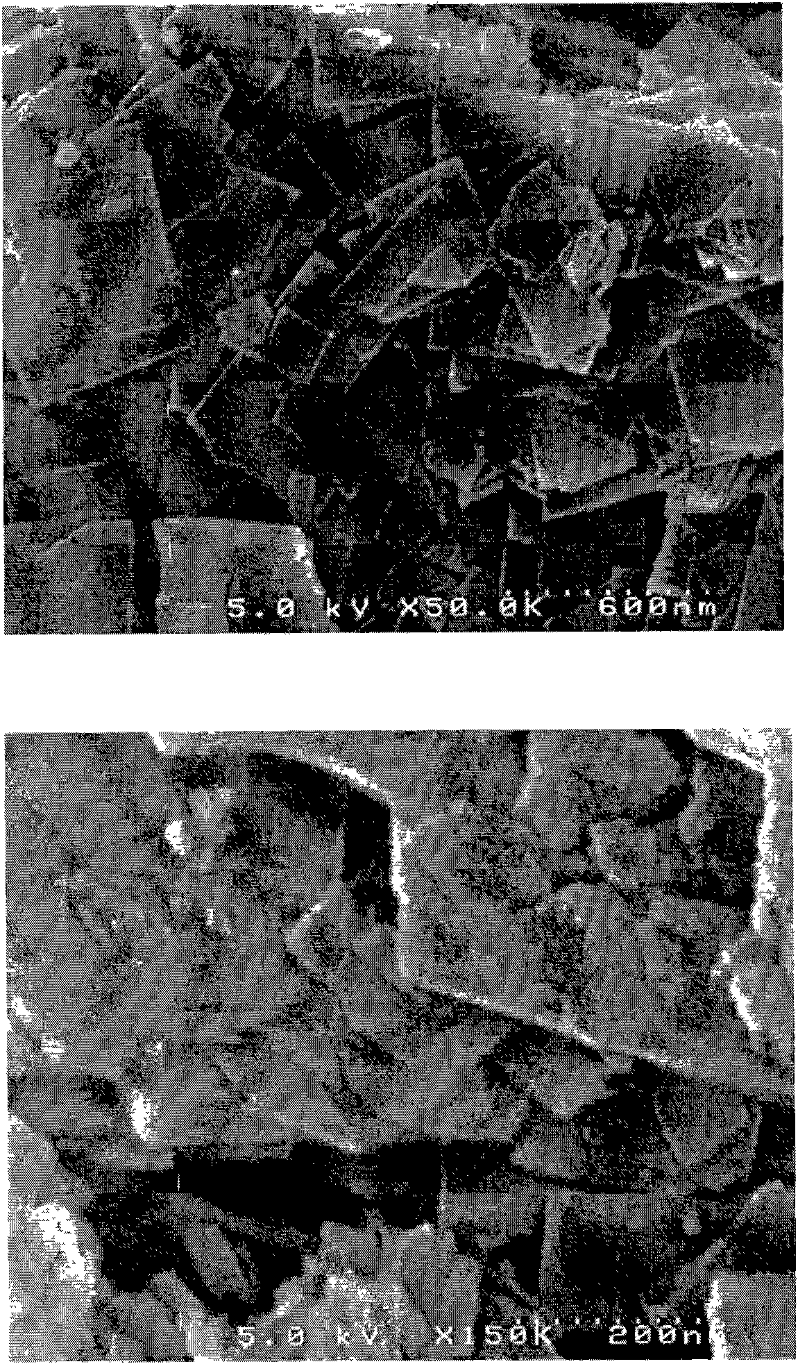 Metalloaluminophosphate molecular sieves with lamellar crystal morphology and their preparation