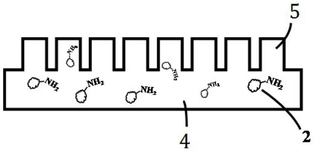 Polydimethylsiloxane film modified by reagent containing amino functional group for detecting trinitrotoluene and preparation method thereof