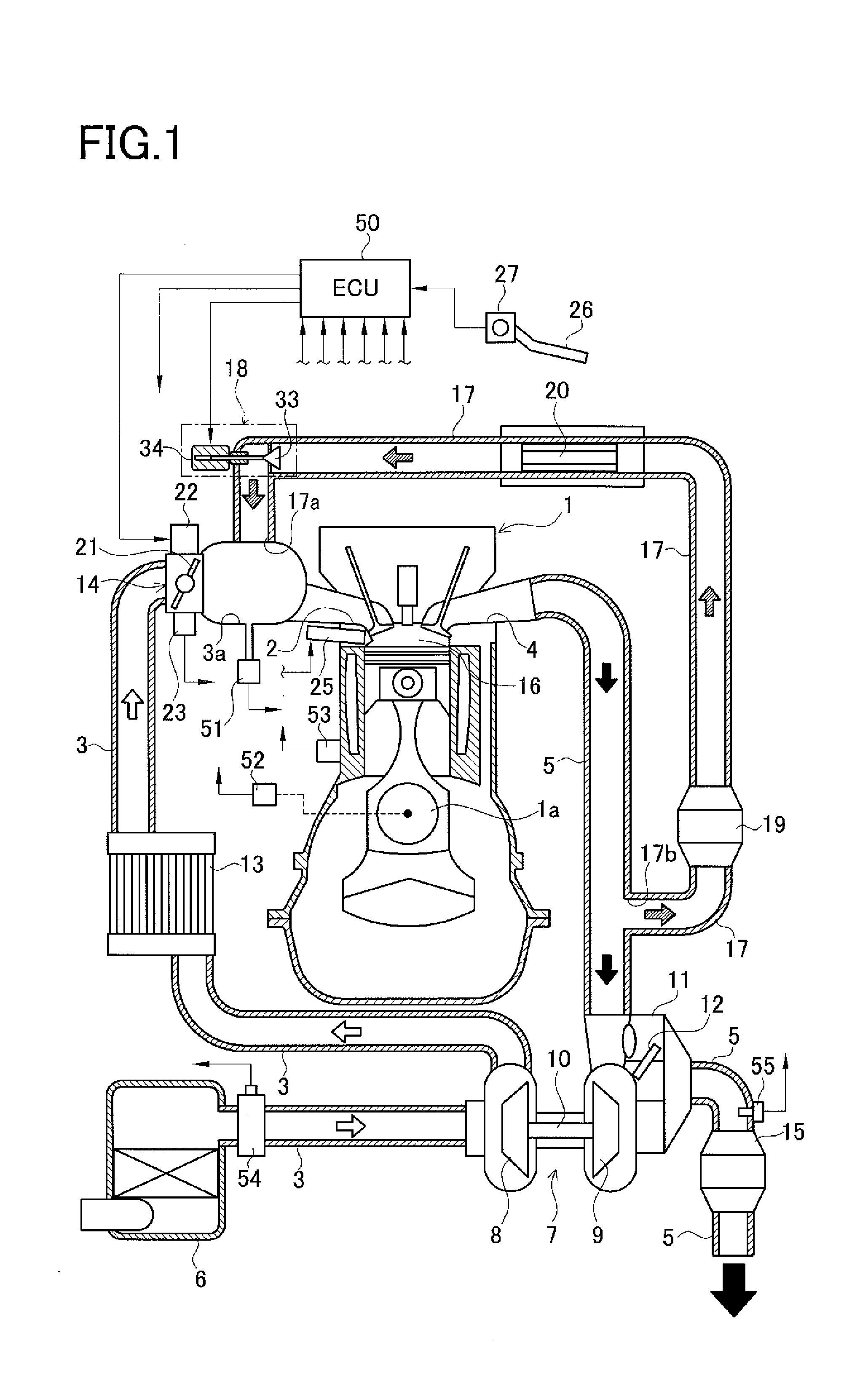 Exhaust gas recirculation apparatus for engine