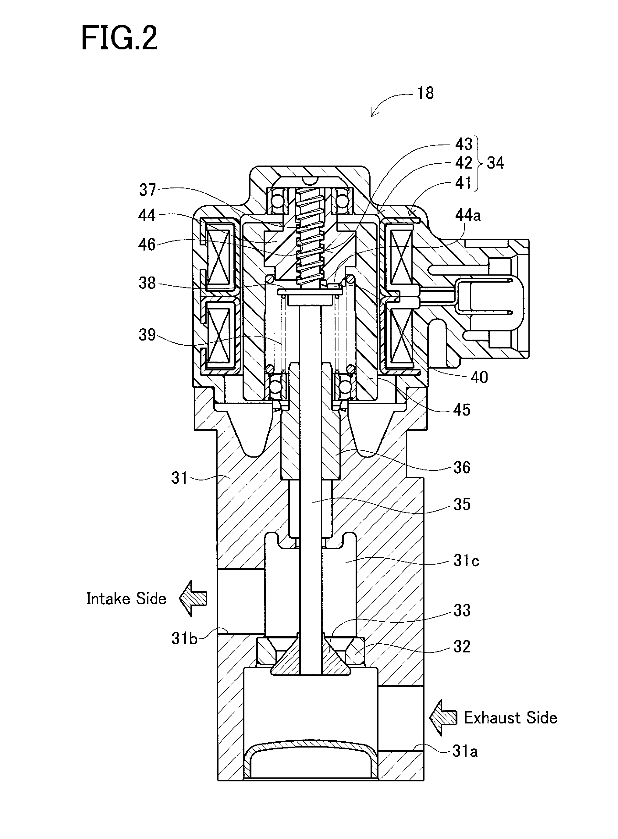 Exhaust gas recirculation apparatus for engine