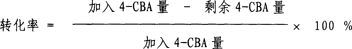 Method for preparing catalyst for refining of crude terephthalic acid