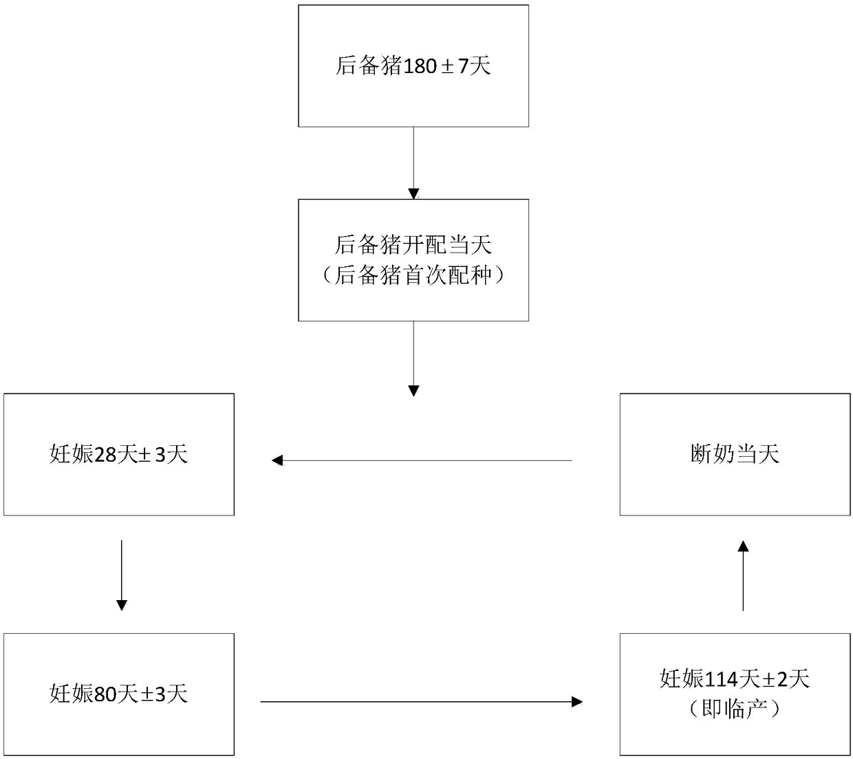 Pig farm fat measurement information monitoring system and method